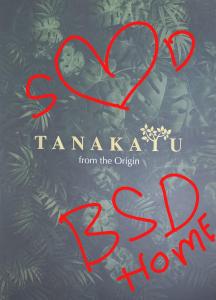 jakarta Seffa Bila Dom property BSD