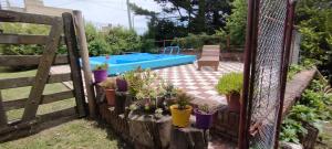 Los Tilos