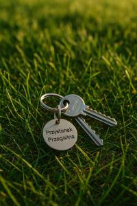 Przystanek Przegalina