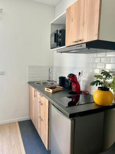 Appartements Studio Rio - Confortable avec jardin d-ete I proche gare et centre : photos des chambres