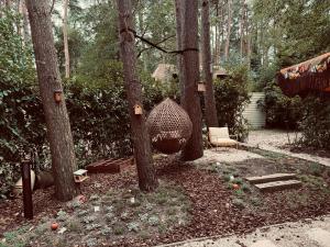 Five Trees Forest Home