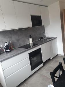 Appartements Appartement T3 Annecy : Appartement 2 Chambres