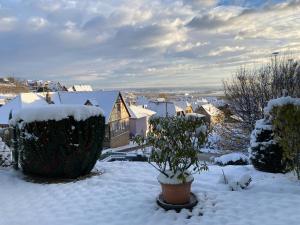 Appartements Gite 
