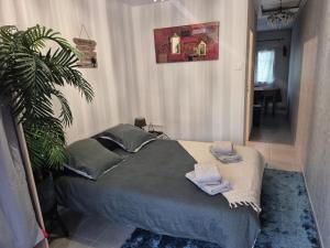 Appartements studio saint brieuc avec jardin : photos des chambres