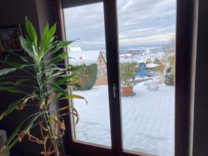 Appartements Gite 