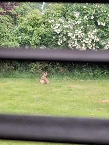 KRAGKAER Deer-Lodge B&B & Guest House - Unique Holiday Homes