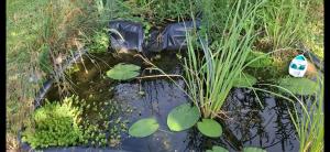 Chez Madgi et Jean-Mi