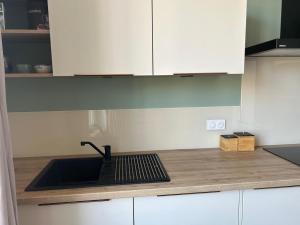 Appartements Studio independant climatise a Lyon 8 : photos des chambres