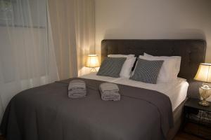 Cozy apartment in Kadriorg