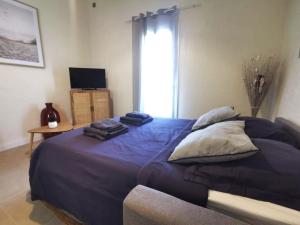 Appartements Le Cocon - Renove I Clim I Terrasse I WIFI I Hypercentre : photos des chambres