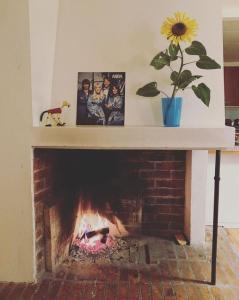 Large & nice house with fireplace, rural location