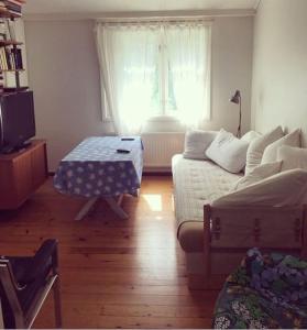 Large & nice house with fireplace, rural location