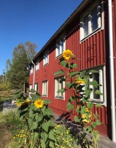 Large & nice house with fireplace, rural location