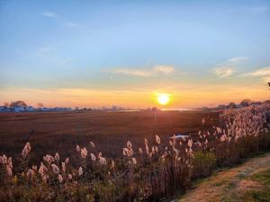 Great Hammock Getaway
