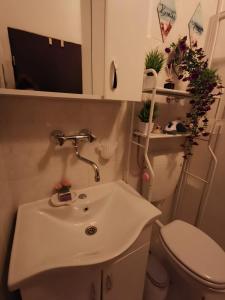 Studio apartment A Step Away from the Sea