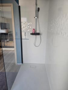 Appartement cosy proche Sceneo, Auchan, Saint-Omer
