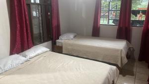 Monteverde Monkey Hostel