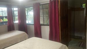 Monteverde Monkey Hostel