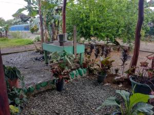 La Chonta de Corcovado