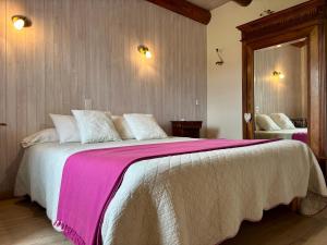 B&B / Chambres d'hotes Retraite Champetre Proche du Puy-en-Velay avec Acces Chemin de Compostelle et Lac du Bouchet - FR-1-582-455 : photos des chambres