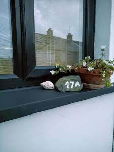 Cosy Coastal Escape with Seaview Terrace