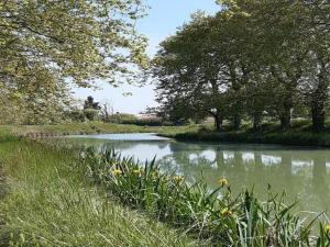 Maisons de vacances Holiday Home w Pool near Beziers : photos des chambres