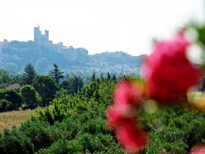 Maisons de vacances Holiday Home in France with Garden Terrace : photos des chambres