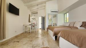 Crimson beach ocean front entire floor villa