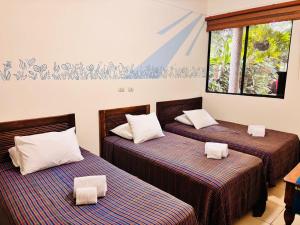 Arbol de Fuego Eco-hotel