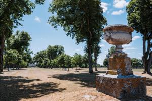 Villas Domaine du Chateau de la Brosse : photos des chambres