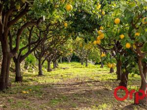 Appartements Appart lumineux a Menton avec piscine et Wi-Fi inclus - FR-1-647-51 : photos des chambres