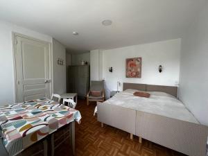 Appartements Studio entre Thermes et centre-ville avec jardin, parking et WIFI - FR-1-541-119 : photos des chambres