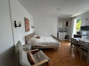 Appartements Studio entre Thermes et centre-ville avec jardin, parking et WIFI - FR-1-541-119 : photos des chambres