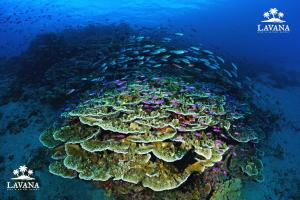 Lavana Dive & Nature Resort