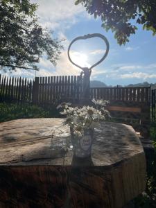 Tsvirmi Zviadis guesthouse