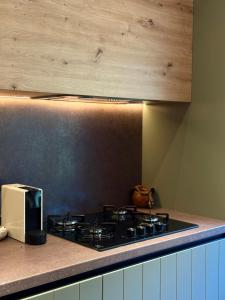 Bradutul de la munte Chalet