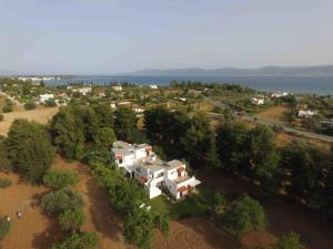 Eretria Park Studios Evia Greece