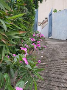 Nha Xanh Ha Long Homestay