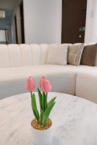 Bello departamento frente a Larcomar Miraflores