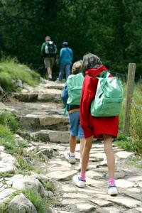 Appart'hotels Les Cimes Du Val D'Allos : photos des chambres