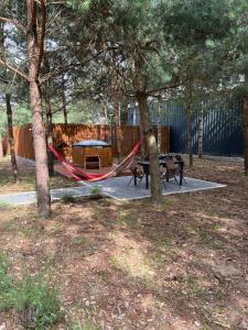 Sosnowe Zacisze w Czapiewicach