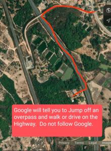 Pink Buffalo Eco-Resort