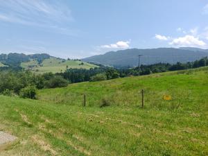 Studio Apartment Hochgratflair