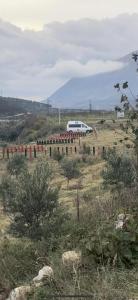 Rv Parking And Camping Wild River