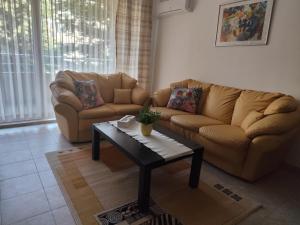 Guest House Amaya Riva