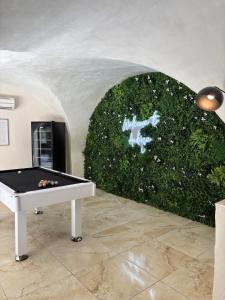 Appartements Suite l-Ecrin Cache avec billard et baignoire ilot : photos des chambres