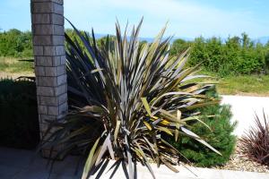 Apartment GLORIA BLUE 1