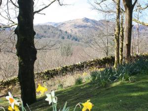 Tarnside