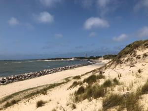 Appartements Studio meuble a 700 m de la plage : photos des chambres