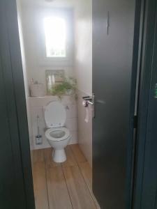 Quiet apartment with terrace, garden